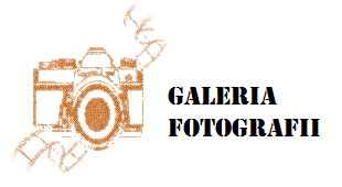 Galeria FOTO